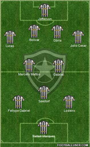 Botafogo FR Formation 2013