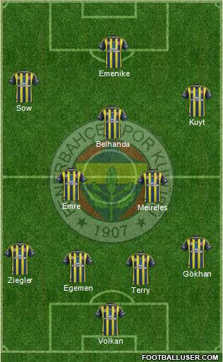 Fenerbahçe SK Formation 2013