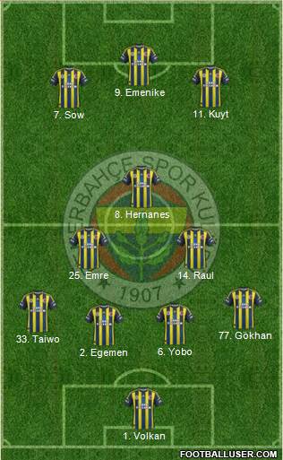 Fenerbahçe SK Formation 2013