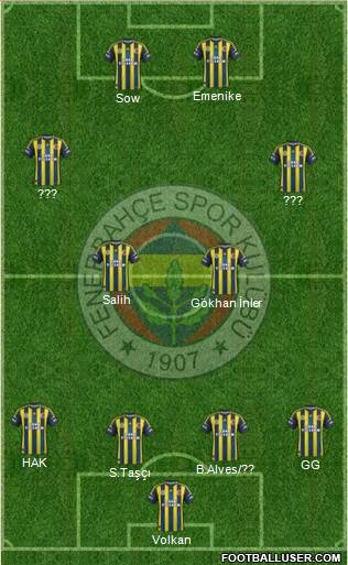 Fenerbahçe SK Formation 2013