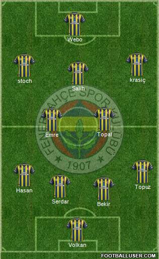 Fenerbahçe SK Formation 2013