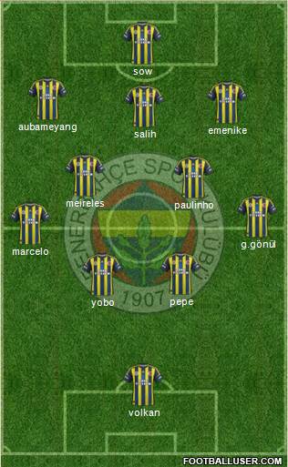 Fenerbahçe SK Formation 2013