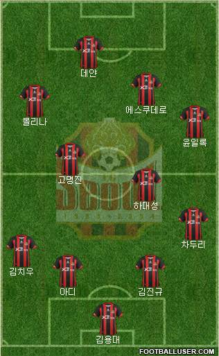 FC Seoul Formation 2013