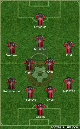 OGC Nice Côte d'Azur Formation 2013