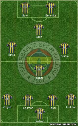 Fenerbahçe SK Formation 2013