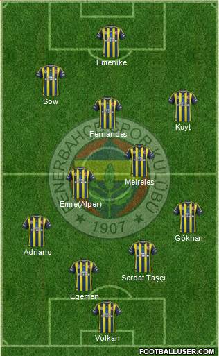 Fenerbahçe SK Formation 2013