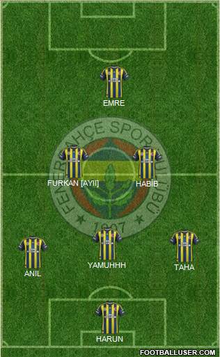 Fenerbahçe SK Formation 2013