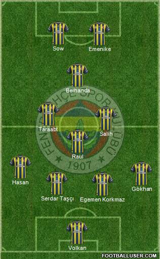 Fenerbahçe SK Formation 2013