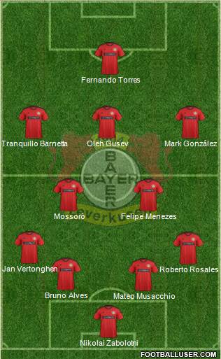 Bayer 04 Leverkusen Formation 2013