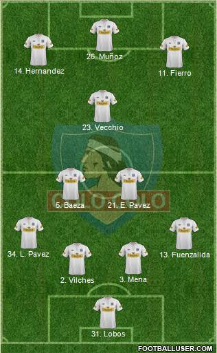 CSD Colo Colo Formation 2013