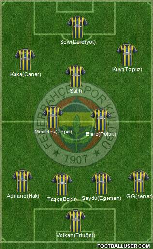 Fenerbahçe SK Formation 2013