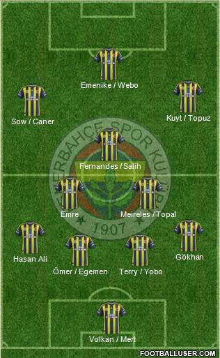 Fenerbahçe SK Formation 2013