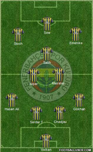 Fenerbahçe SK Formation 2013