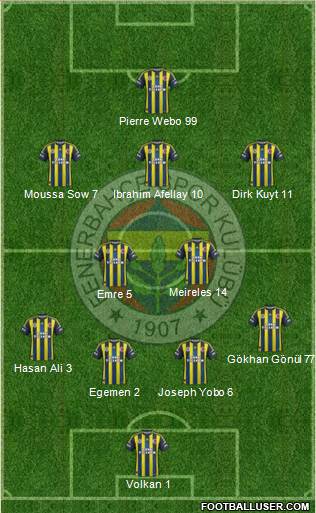 Fenerbahçe SK Formation 2013