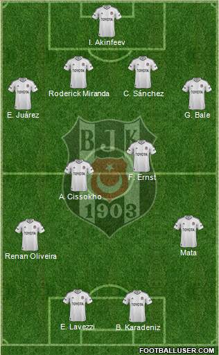 Besiktas JK Formation 2013