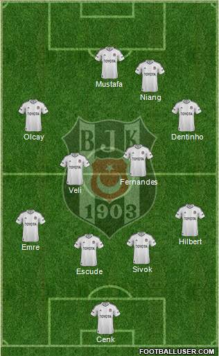 Besiktas JK Formation 2013
