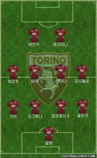 Torino Formation 2013