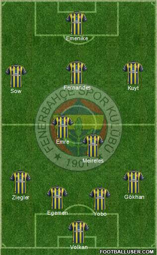 Fenerbahçe SK Formation 2013
