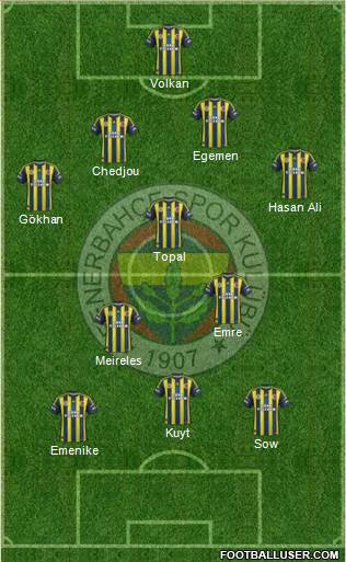 Fenerbahçe SK Formation 2013