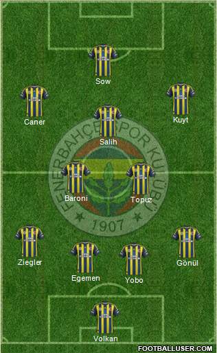 Fenerbahçe SK Formation 2013
