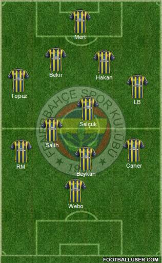 Fenerbahçe SK Formation 2013