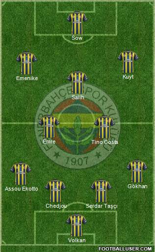 Fenerbahçe SK Formation 2013