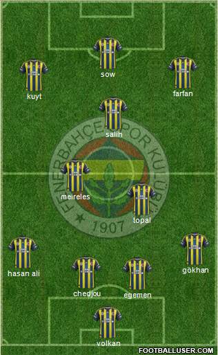 Fenerbahçe SK Formation 2013