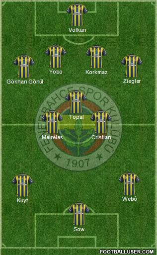 Fenerbahçe SK Formation 2013