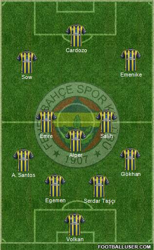 Fenerbahçe SK Formation 2013