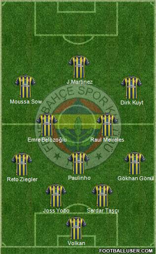 Fenerbahçe SK Formation 2013