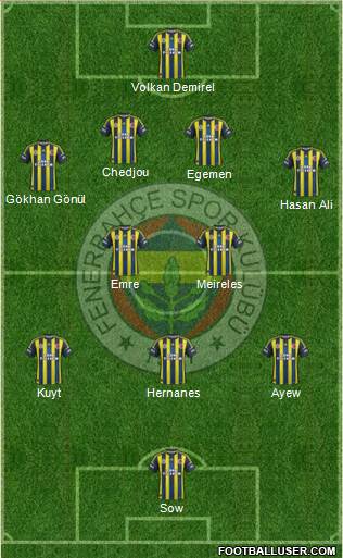 Fenerbahçe SK Formation 2013