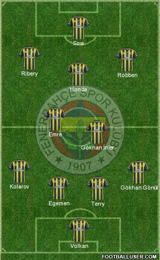 Fenerbahçe SK Formation 2013