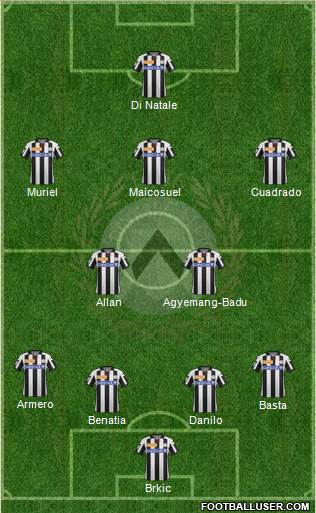 Udinese Formation 2013