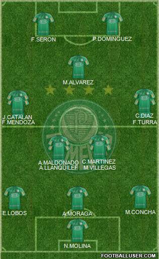 SE Palmeiras Formation 2013