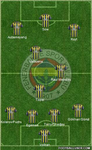 Fenerbahçe SK Formation 2013