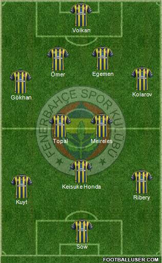 Fenerbahçe SK Formation 2013