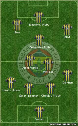 Fenerbahçe SK Formation 2013