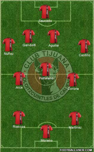 Xoloitzcuintles de Tijuana Formation 2013