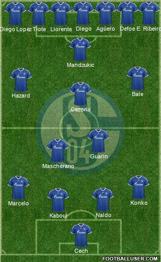 FC Schalke 04 Formation 2013