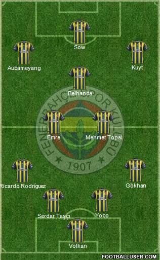 Fenerbahçe SK Formation 2013