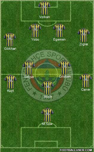 Fenerbahçe SK Formation 2013