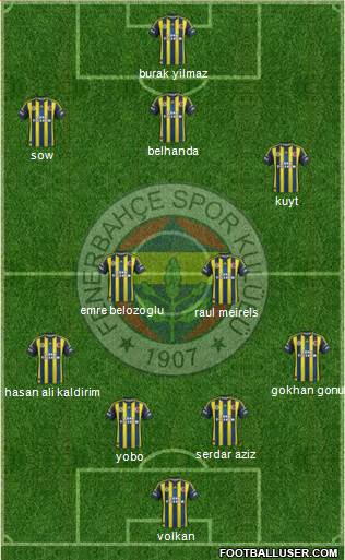 Fenerbahçe SK Formation 2013