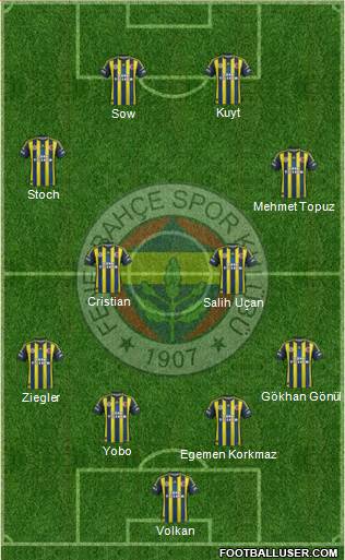 Fenerbahçe SK Formation 2013