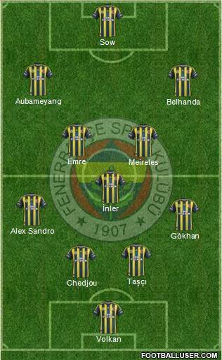 Fenerbahçe SK Formation 2013