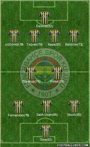 Fenerbahçe SK Formation 2013