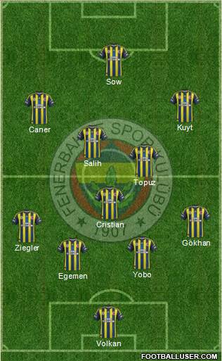 Fenerbahçe SK Formation 2013