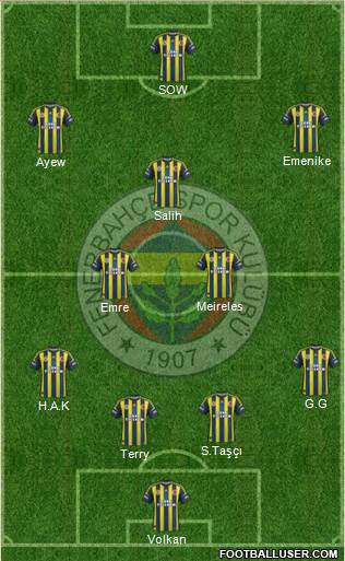 Fenerbahçe SK Formation 2013