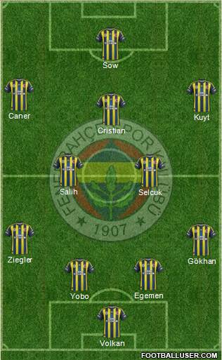Fenerbahçe SK Formation 2013