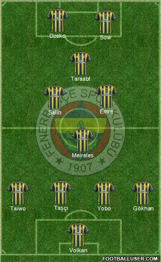 Fenerbahçe SK Formation 2013