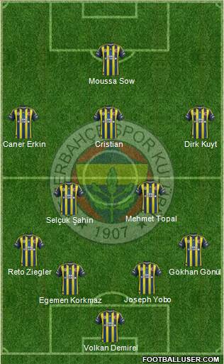 Fenerbahçe SK Formation 2013